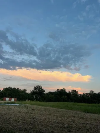 a view of a yard with a mountain