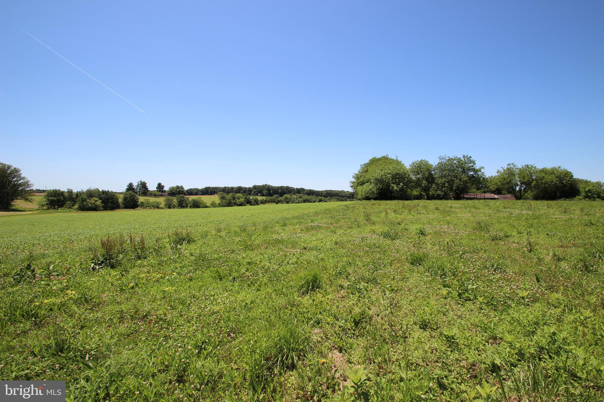 Hanover Pike Hampstead, MD 21074 - Photo 12 of 14 Summer View