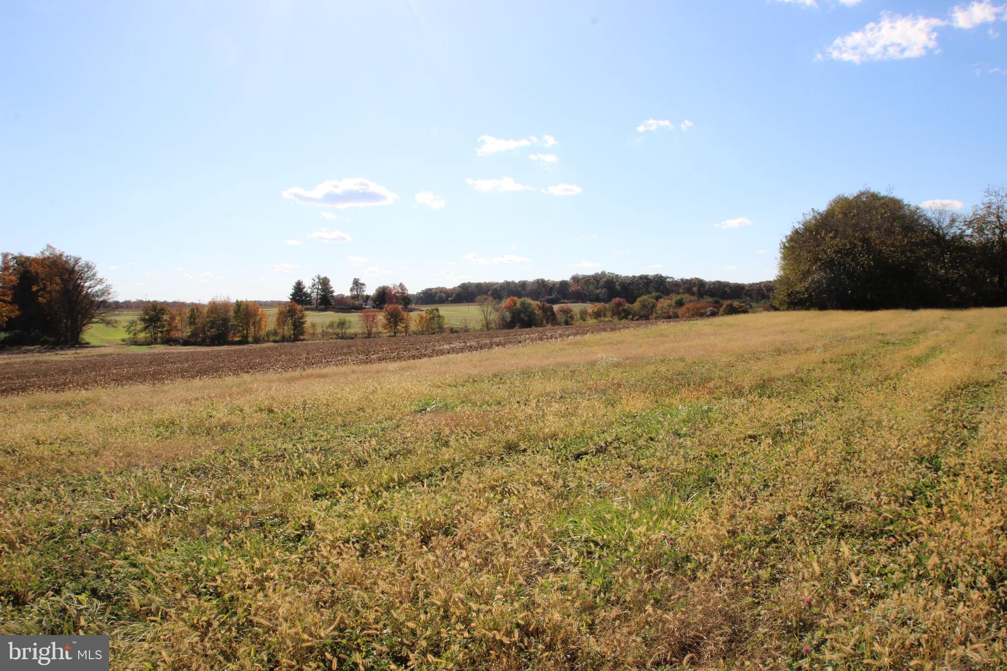 Hanover Pike Hampstead, MD 21074 - Photo 4 of 14 1.199 AC in Baltimore Co