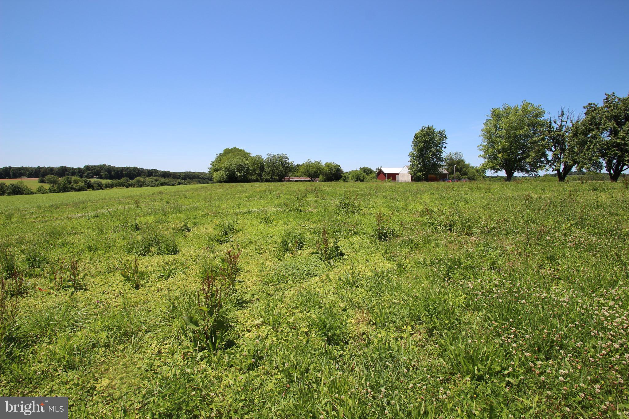 Hanover Pike Hampstead, MD 21074 - Photo 10 of 14 Summer View