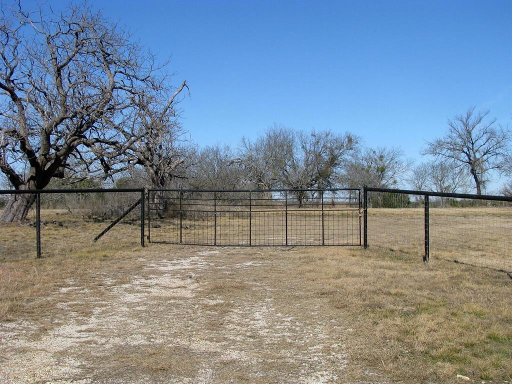 Tbd Lot 4 Tbd Road Gatesville, TX 76528 - Photo 1 of 16 a view of backyard and trees