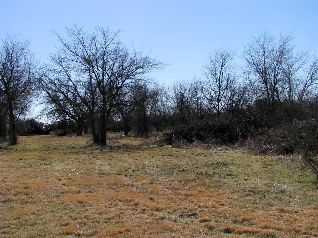 Tbd Lot 4 Tbd Road Gatesville, TX 76528 - Photo 11 of 16 a view of backyard with trees