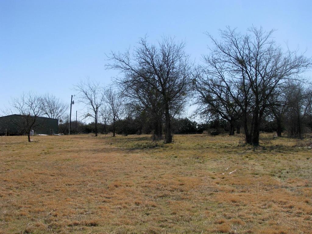 Tbd Lot 4 Tbd Road Gatesville, TX 76528 - Photo 12 of 16 a view of a yard with trees