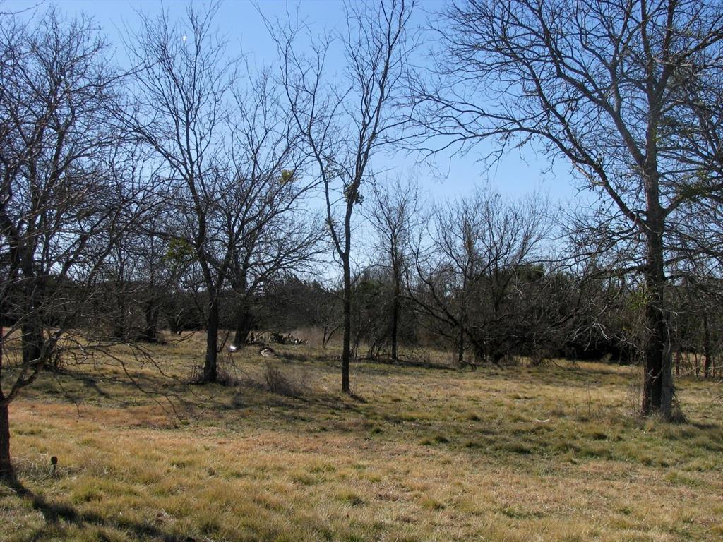 Tbd Lot 4 Tbd Road Gatesville, TX 76528 - Photo 13 of 16 a view of a tree in a yard