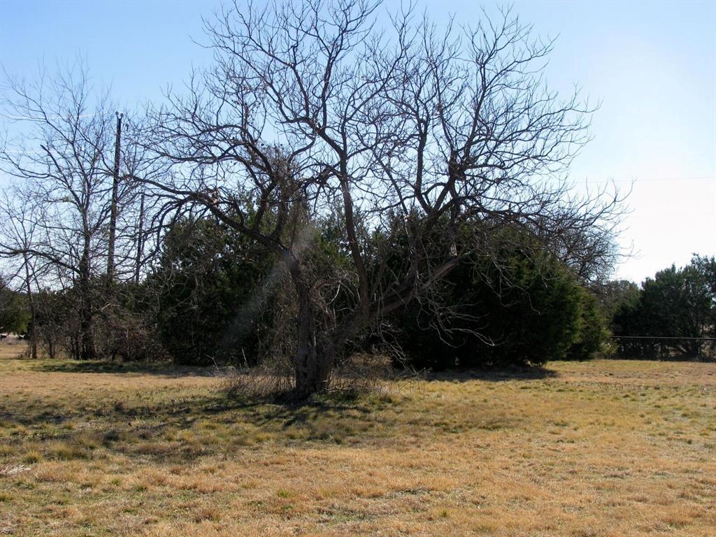 Tbd Lot 4 Tbd Road Gatesville, TX 76528 - Photo 15 of 16 a view of backyard space