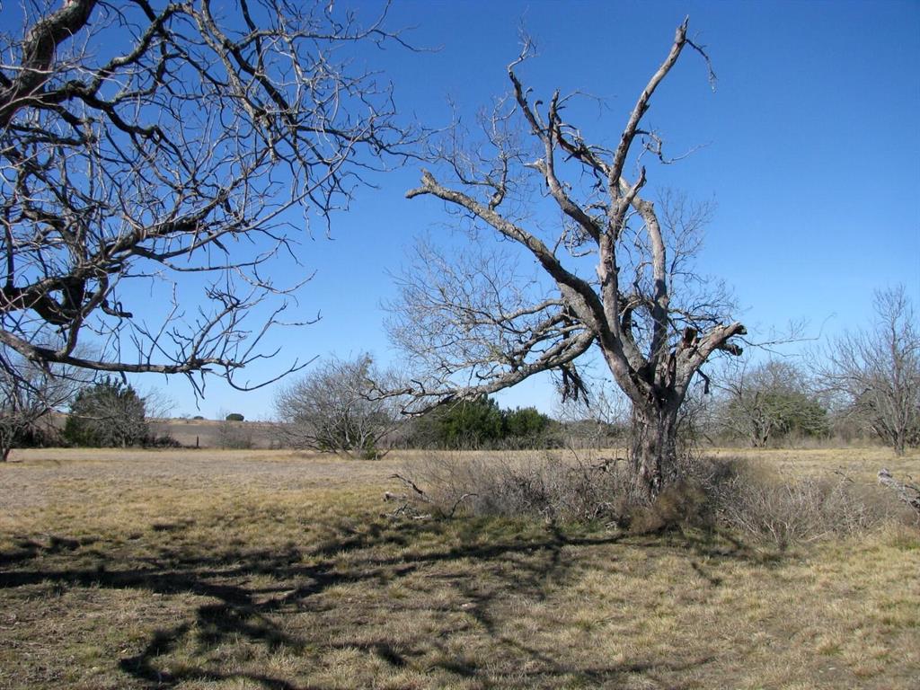 Tbd Lot 4 Tbd Road Gatesville, TX 76528 - Photo 2 of 16 a view of a yard covered with snow