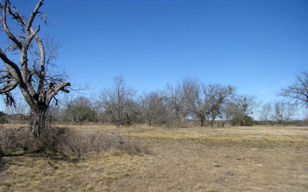 Tbd Lot 4 Tbd Road Gatesville, TX 76528 - Photo 6 of 16 a view of a yard with a tree