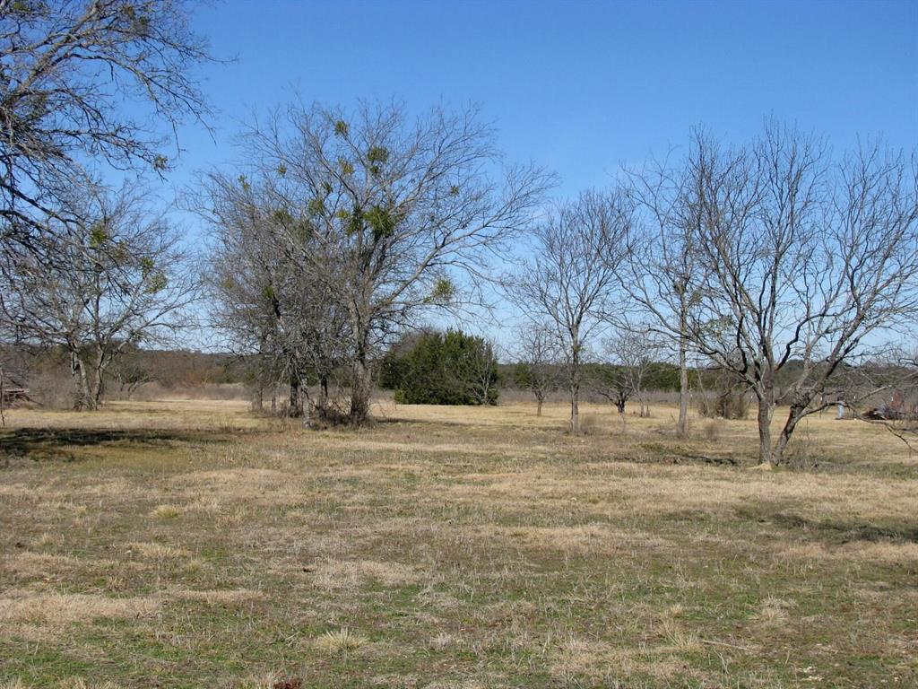 Tbd Lot 4 Tbd Road Gatesville, TX 76528 - Photo 8 of 16 a view of dirt yard with a large tree