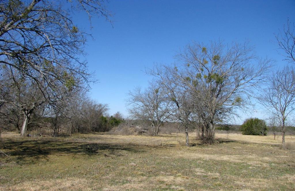 Tbd Lot 4 Tbd Road Gatesville, TX 76528 - Photo 9 of 16 a view of a yard with a large tree