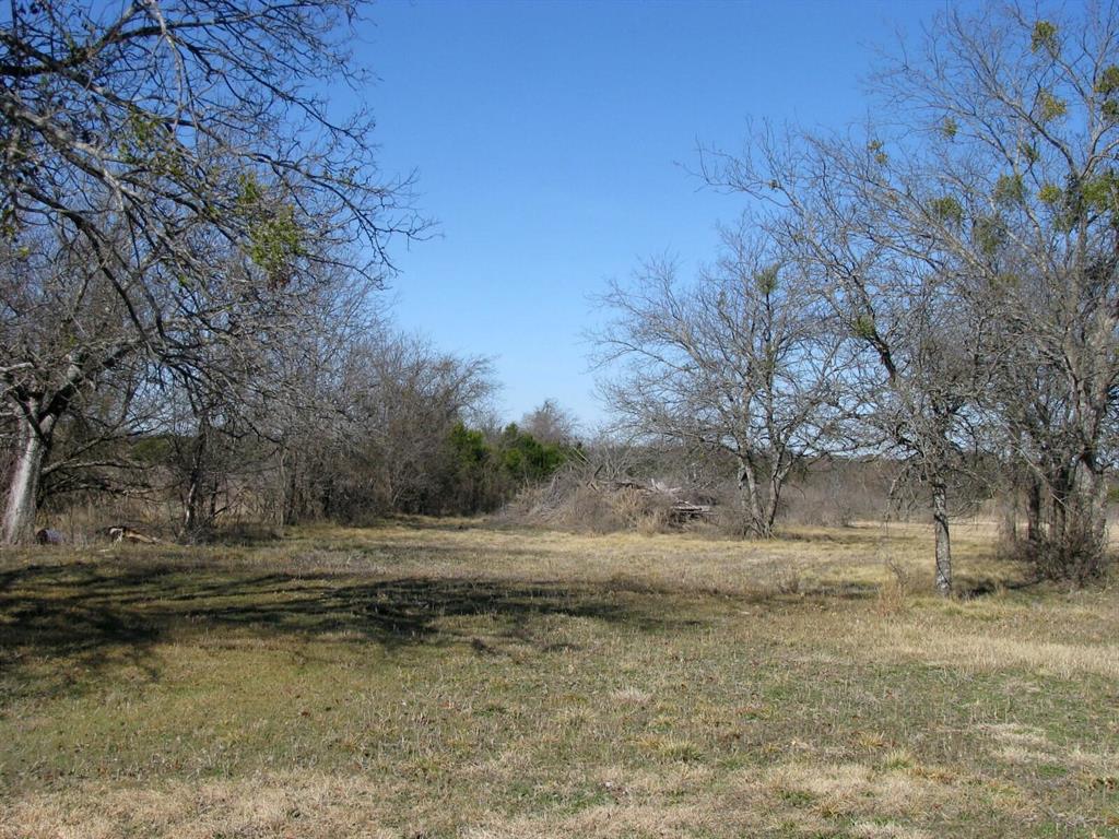 Tbd Lot 4 Tbd Road Gatesville, TX 76528 - Photo 10 of 16 a view of dirt yard with a large tree
