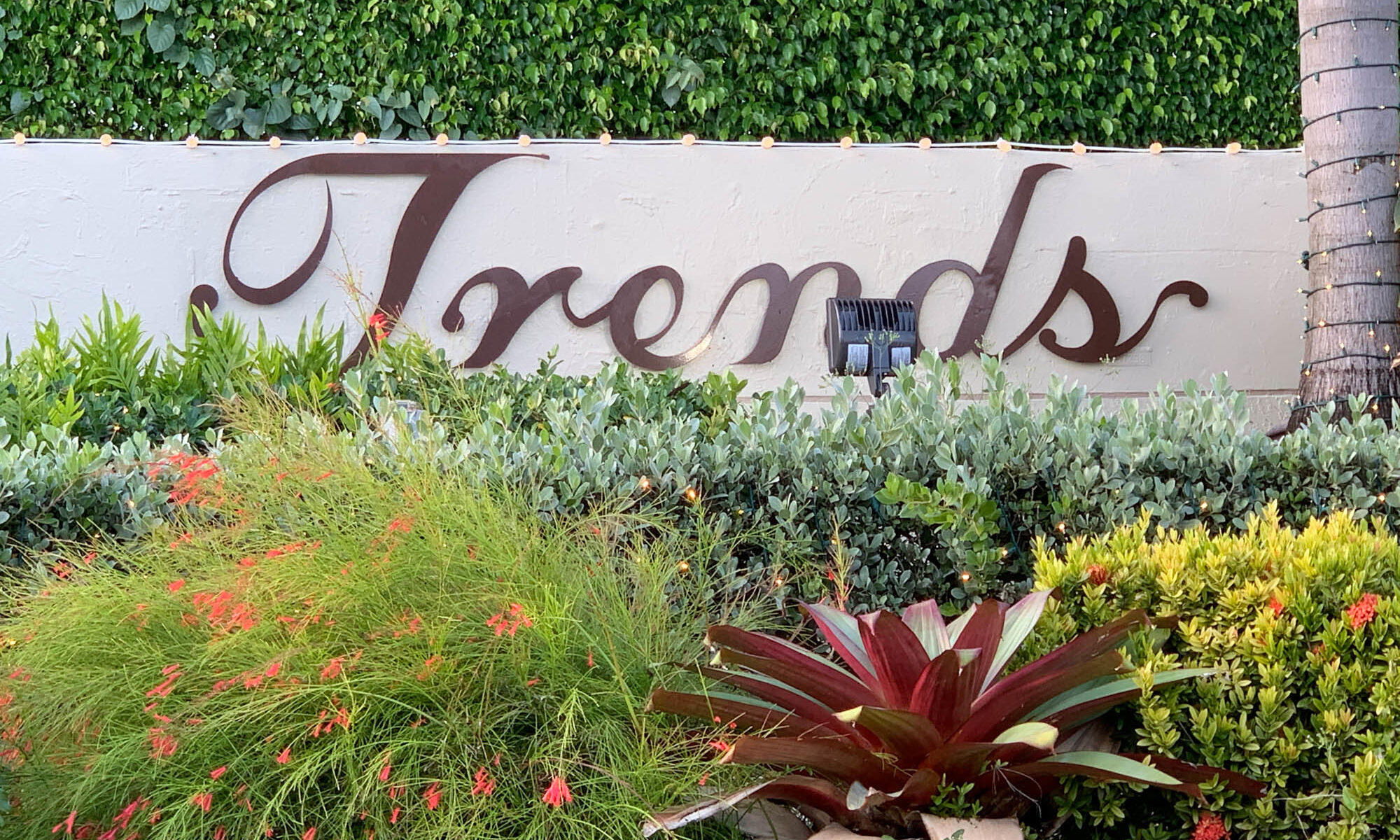 8374 Dynasty Drive Boca Raton, FL 33433 - Photo 28 of 30 a sign that is on the side of the grass and plants