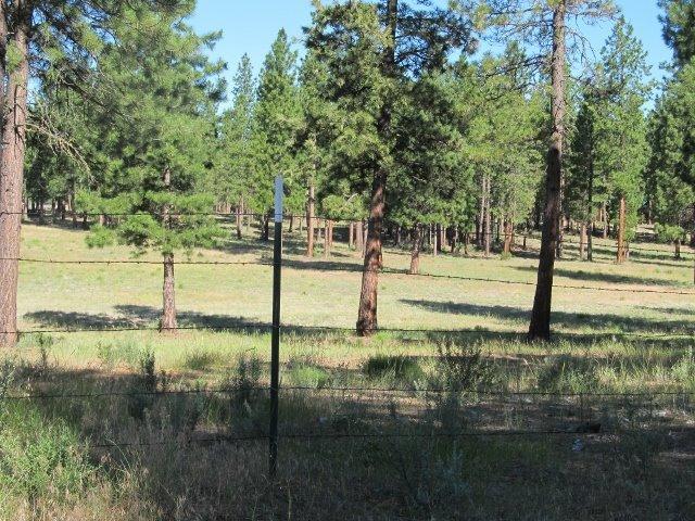 9325 Sprague River Road Chiloquin, OR 97624 - Photo 17 of 23 Additional Photo