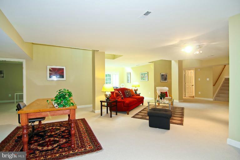 11673 Bennington Woods Road Reston, VA 20194 - Photo 20 of 30 Basement