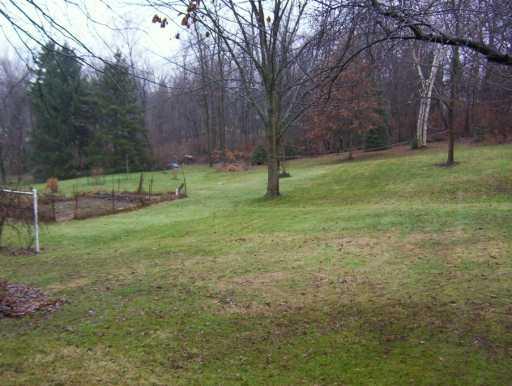 251 Pine Road Pittsburgh, PA 15237 - Photo 4 of 8 Yard/Garden.