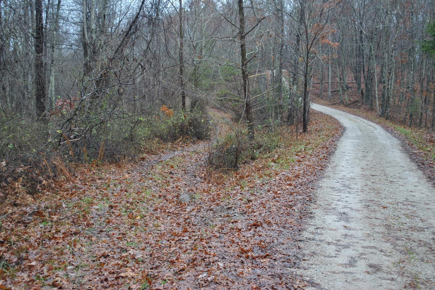567 Chestnut Flat School Road McKee, KY 40447 - Photo 43 of 68 Photo 43