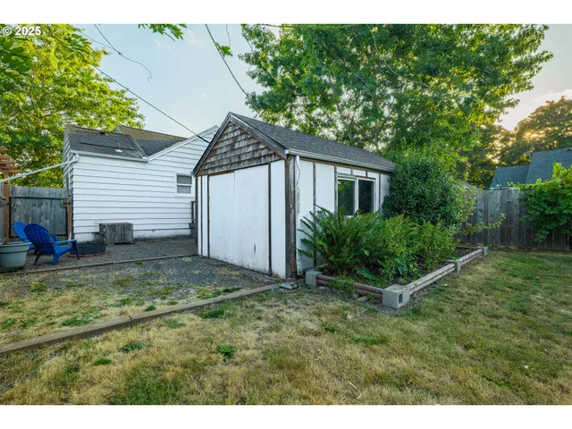 a view of a backyard with plants and a large tree