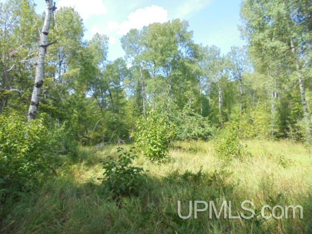 12693 South Fair Oaks Road Ewen, MI 49925 - Photo 14 of 23 Gallery Image 14