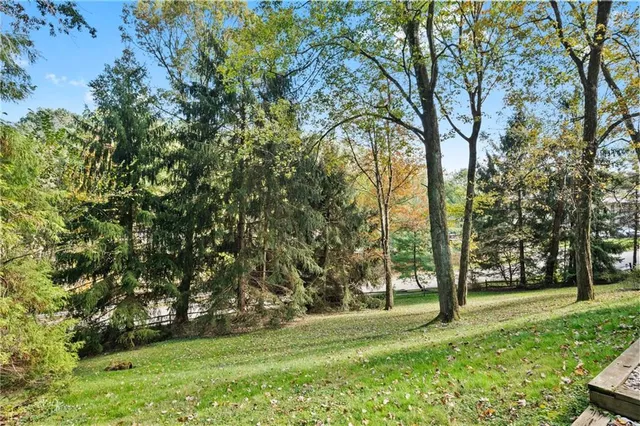 a view of a yard with large trees