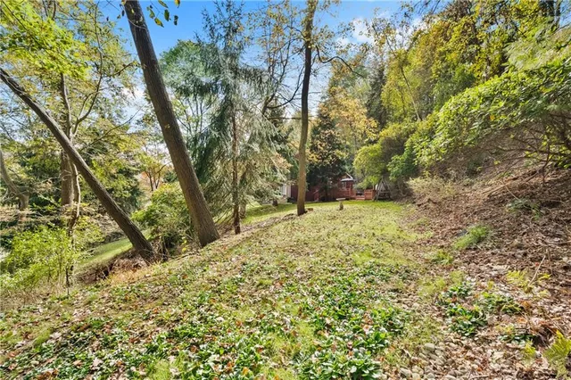 a backyard of a house with lots of green space