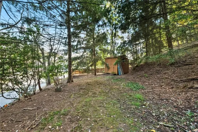 a view of yard with green space