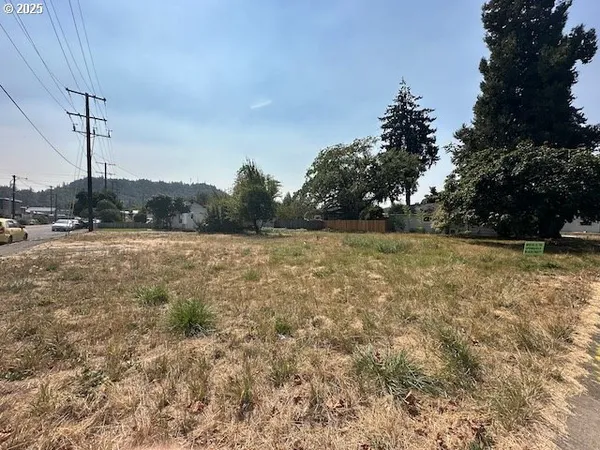 a view of a field with trees in background