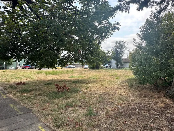 a view of yard with green space