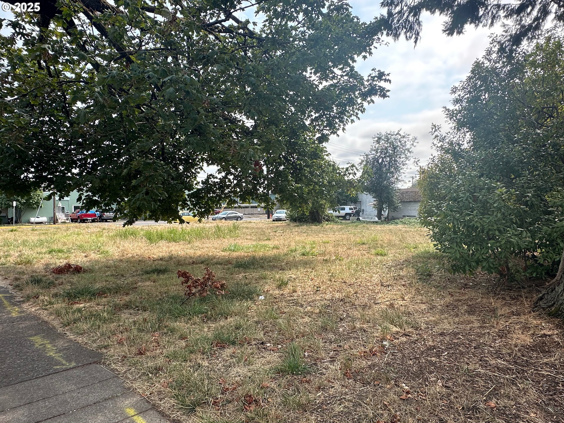 1483 Main Street Springfield, OR 97477 - Photo 11 of 13 a view of yard with green space