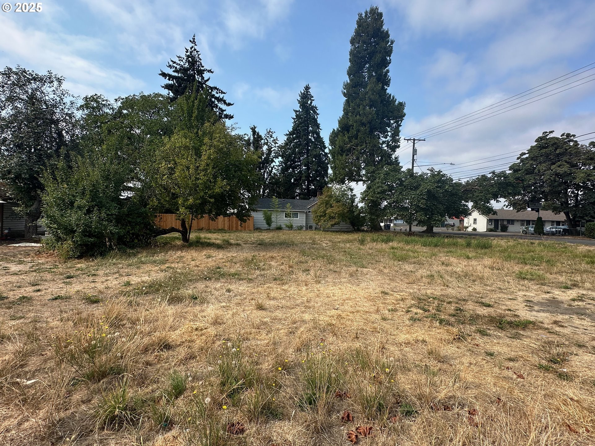 1483 Main Street Springfield, OR 97477 - Photo 7 of 13 a backyard of a house with lots of green space