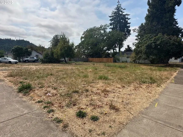 a view of a yard with an trees