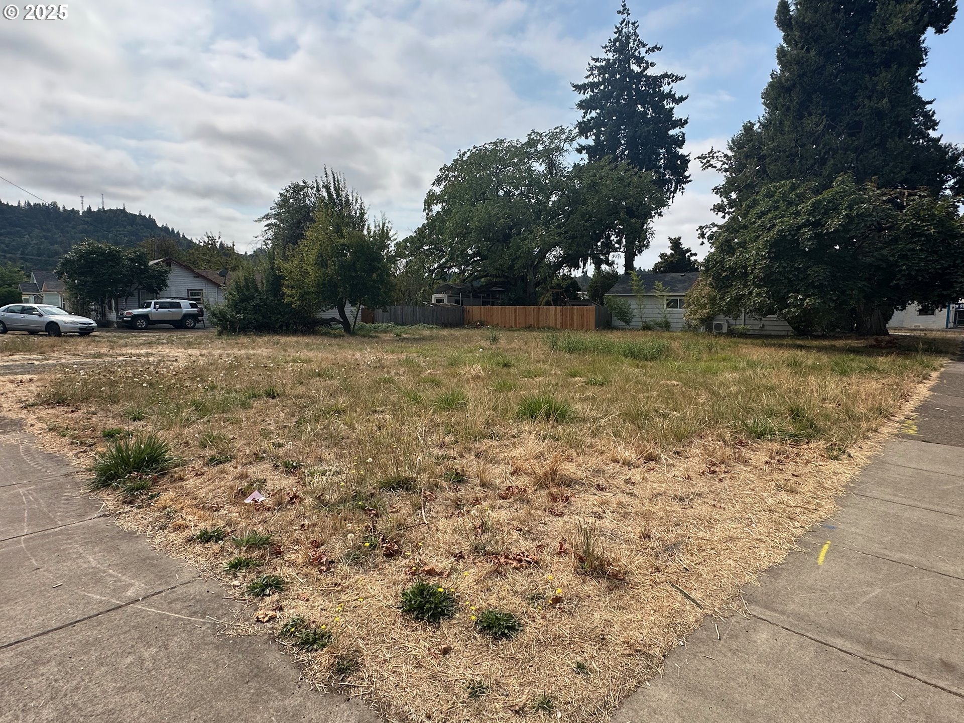 1483 Main Street Springfield, OR 97477 - Photo 9 of 13 a view of a yard with an trees