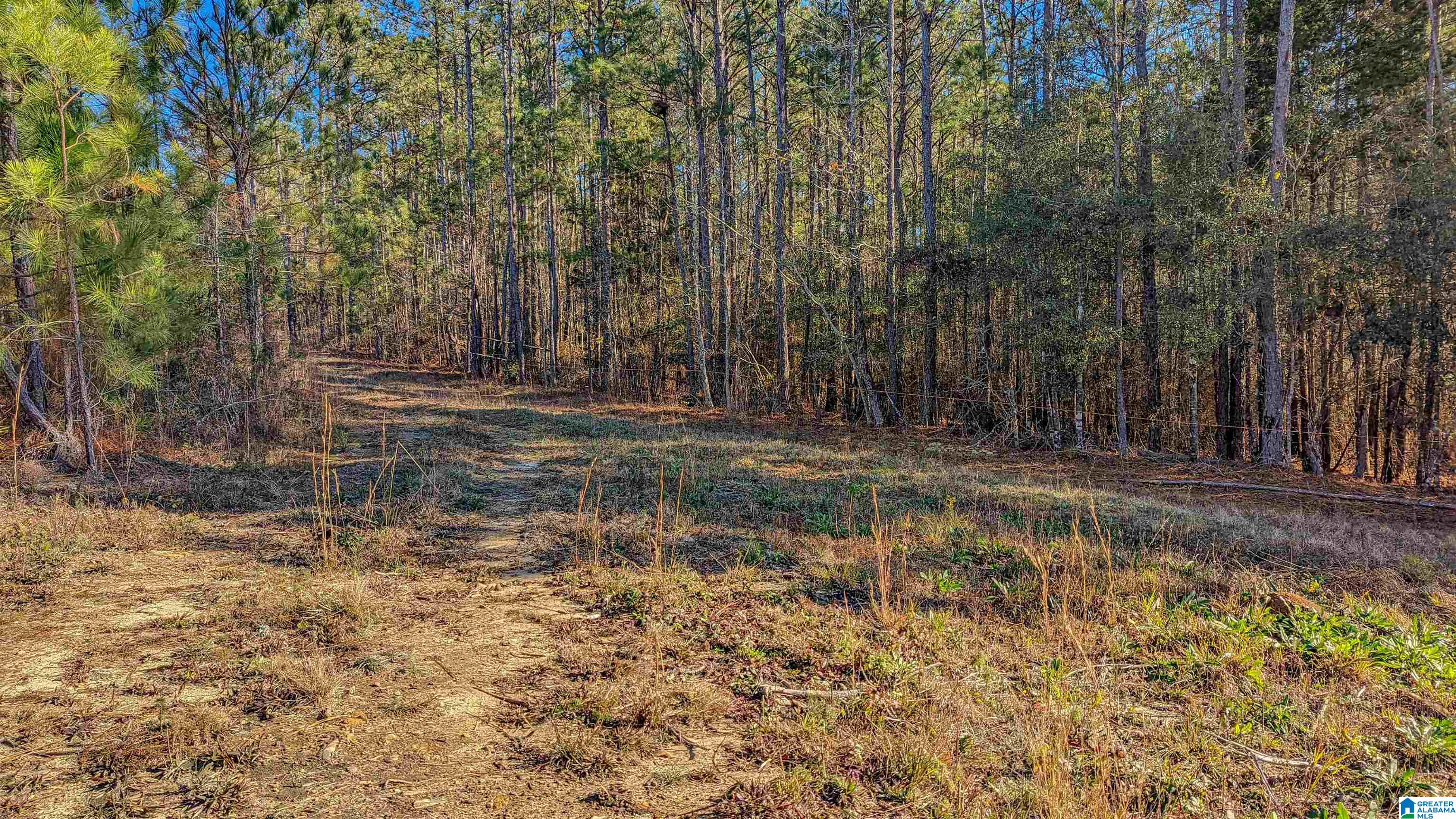 1341 County Road 528, Unit 36 Verbena, AL 36091 - Photo 18 of 19