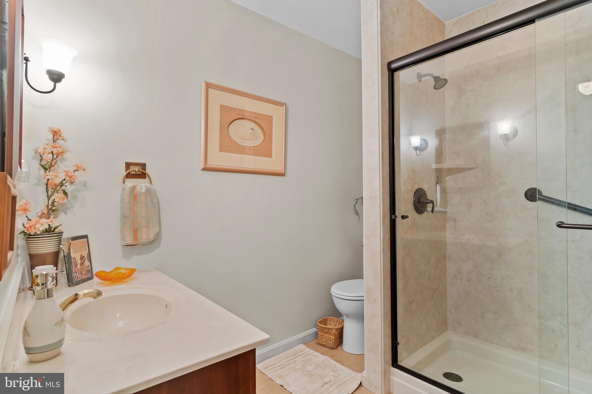 100 Burnt House Road Carlisle, PA 17015 - Photo 47 of 58 Bathroom