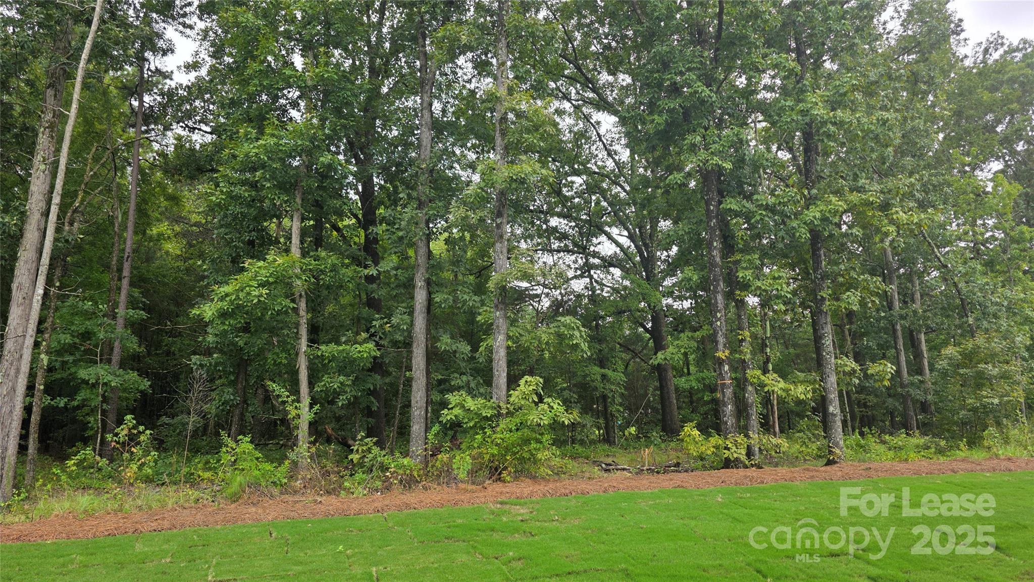 3516 Nimbell Road Monroe, NC 28110 - Photo 18 of 18 a view of outdoor space and yard