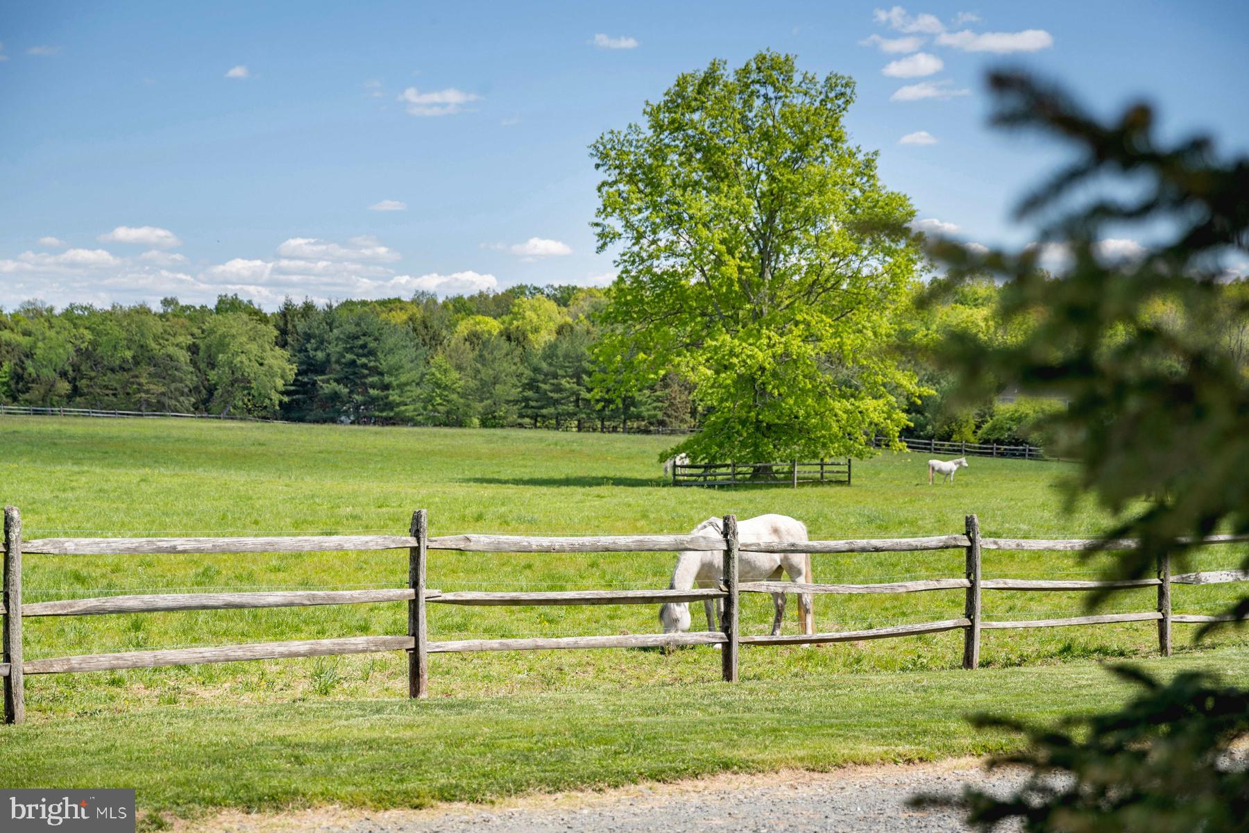 50 Dunkard Church Road Stockton, NJ 08559 - Photo 51 of 51 a view of a park