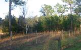 4 Keen Cemetery Road Callahan, FL 32011 - Photo 1 of 1 Gallery Image 1