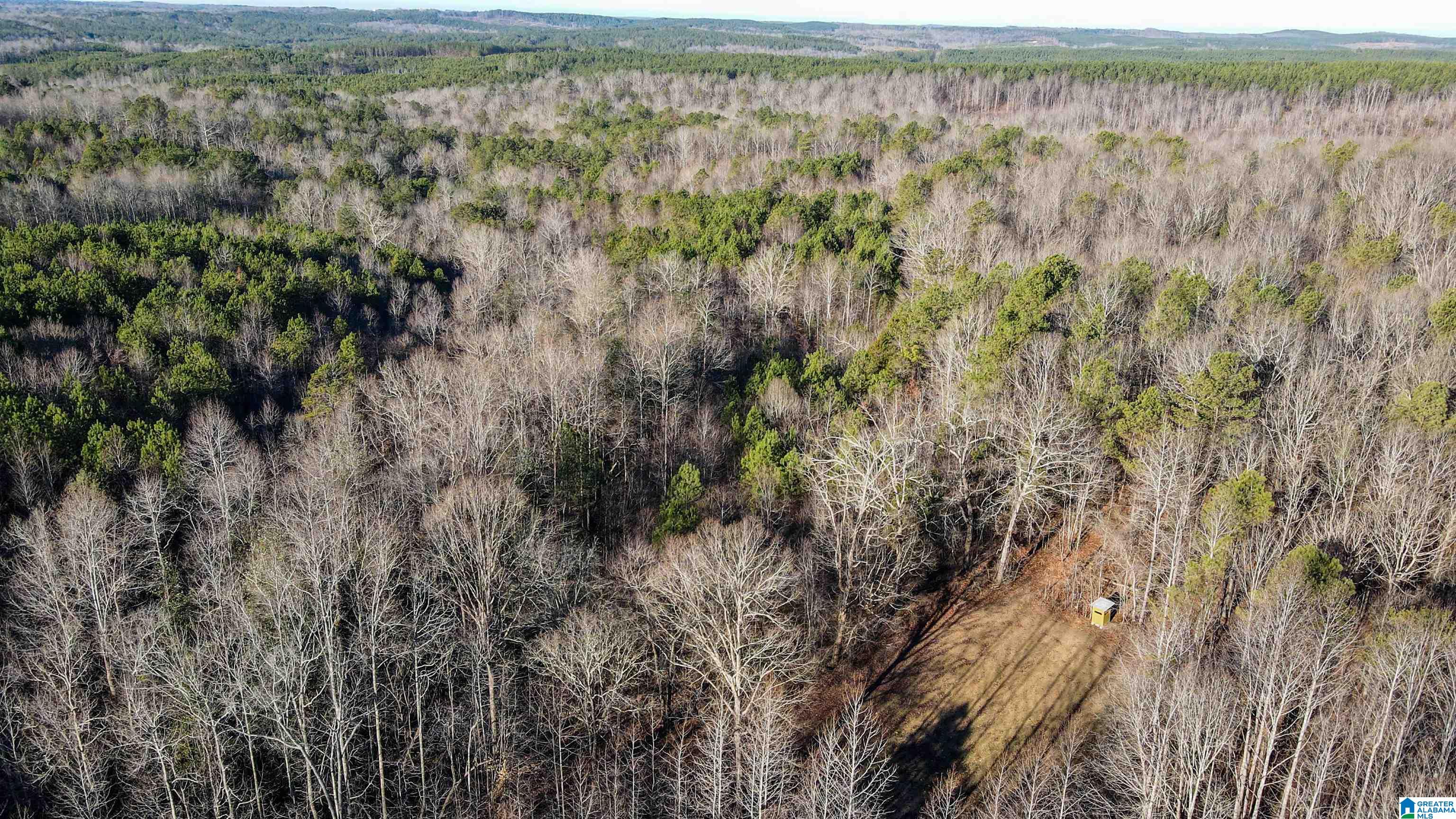 29 Highway Hamilton Al, Unit 1 Hamilton, AL 35570 - Photo 29 of 55