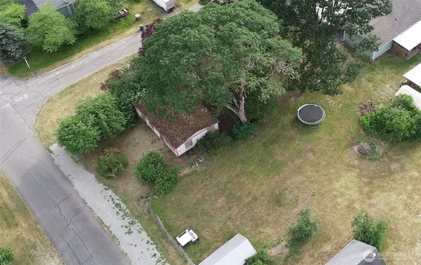 a view of a backyard with plants and a lake view