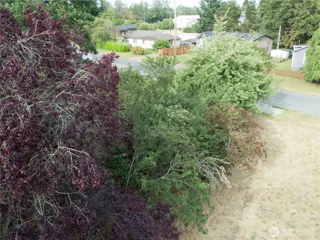 a view of a garden area
