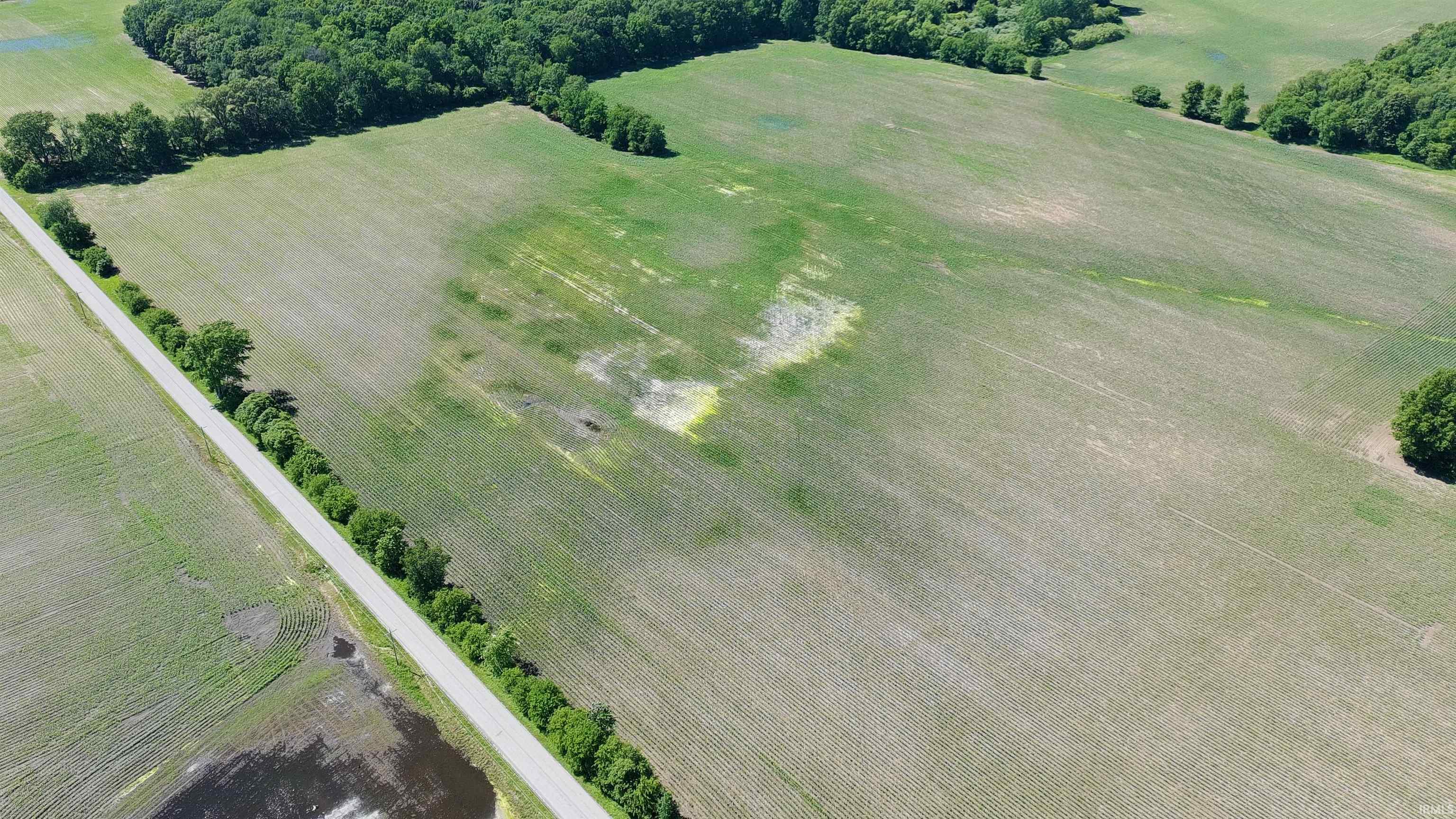 State Road Monticello, IN 47960 - Photo 10 of 10