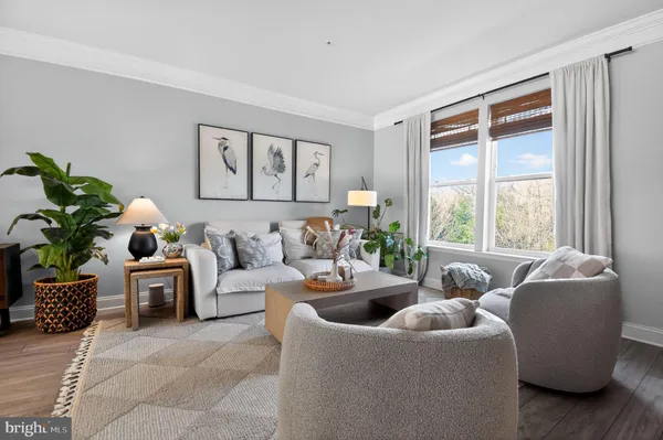 a living room with furniture and a potted plant