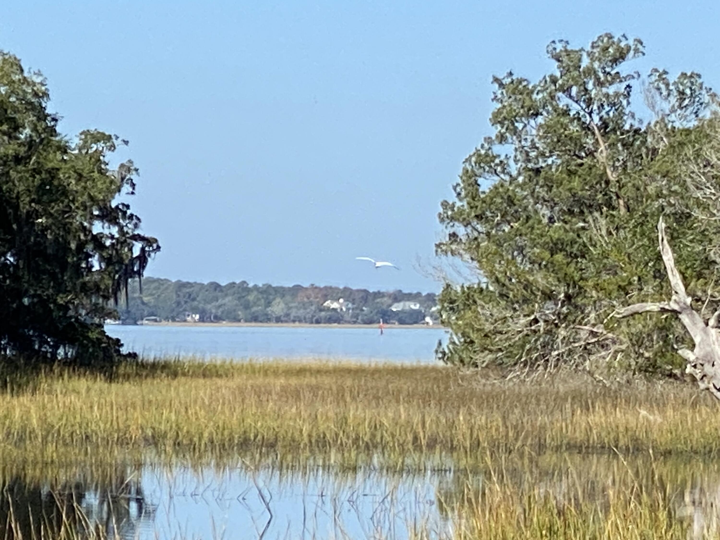 1229 Harts Bluff Road Wadmalaw Island, SC 29487 - Photo 2 of 29 IMG_9298