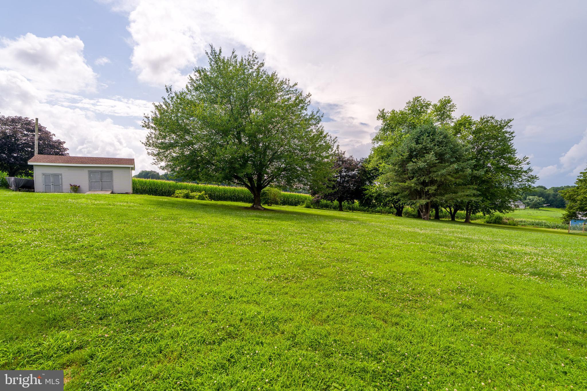 116 Schoolhouse Road Kirkwood, PA 17536 - Photo 54 of 72 Back Yard View From House