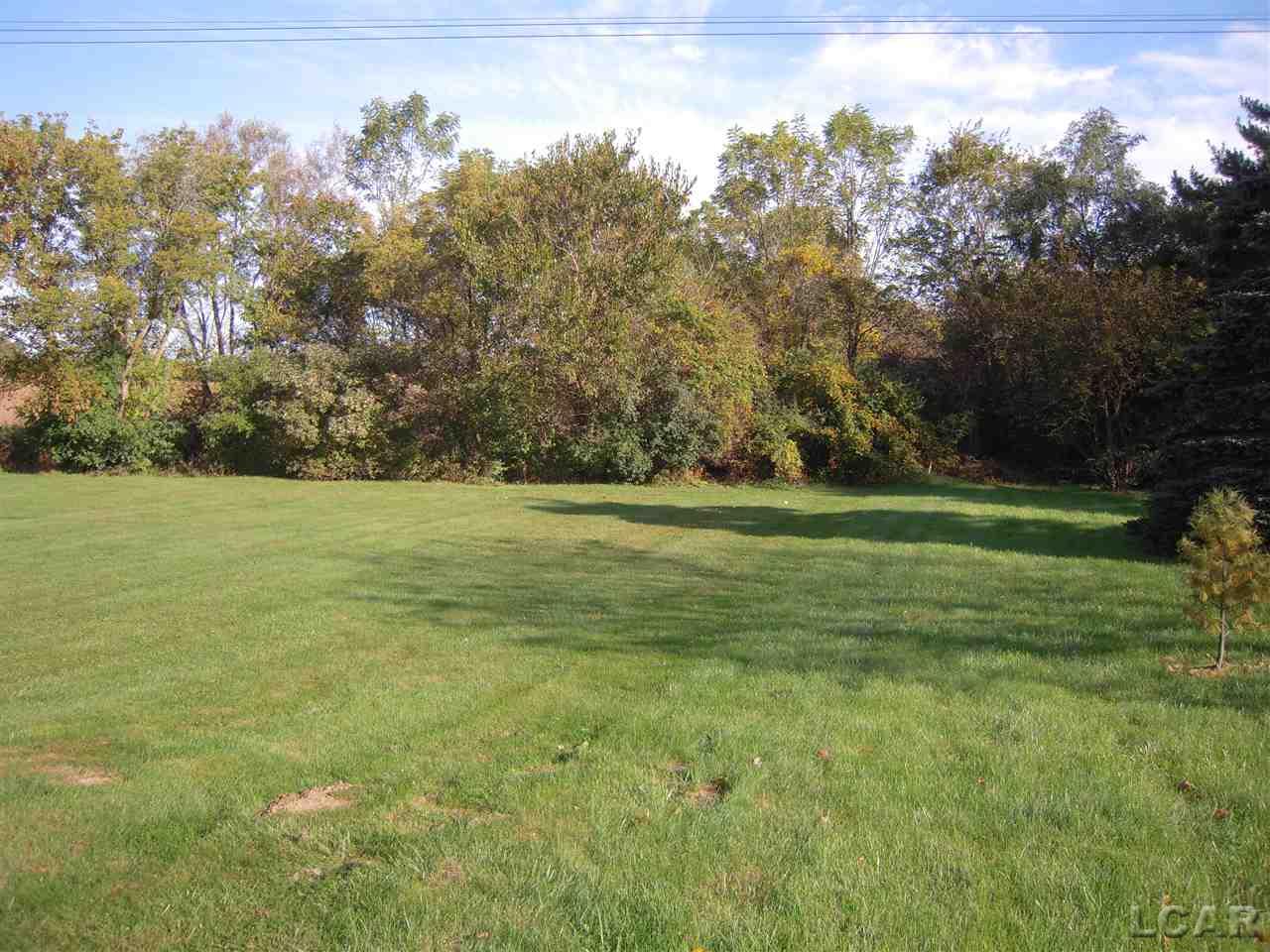 3988 West Dunbar Road Monroe, MI 48161 - Photo 11 of 40 Gallery Image 11