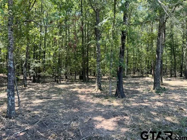 $60,000 | 3925 COUNTY Road 3925, Mount Pleasant, TX 75455
