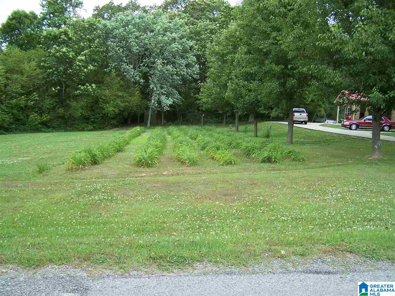 1595 Robin Hill Road Oneonta, AL 35121 - Photo 45 of 48