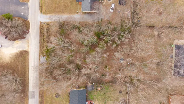 a view of a yard covered in snow