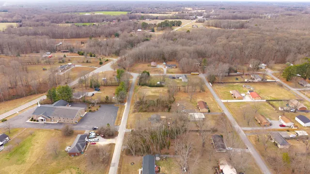 a close up of a plant with a plant