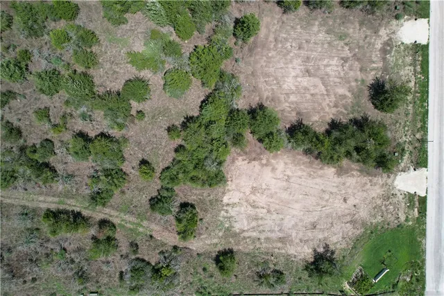 a view of a yard with plants and a bench