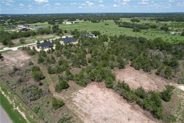 an aerial view of green landscape with trees houses and mountain view