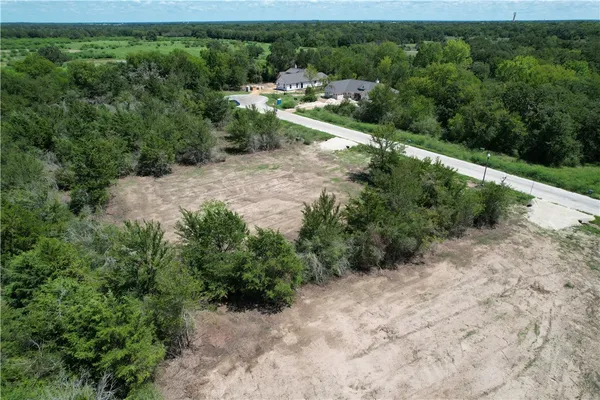 a view of a forest with a street